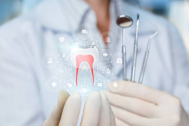 Professional Dental Services in Dripping Springs, TX